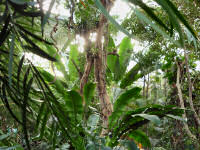 Biosphäre Potsdam (83 Bilder)